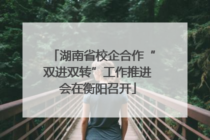 湖南省校企合作“双进双转”工作推进会在衡阳召开