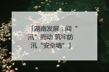 湖南发展：闻“汛”而动 筑牢防汛“安全墙”