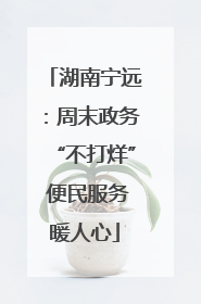 湖南宁远：周末政务“不打烊” 便民服务暖人心