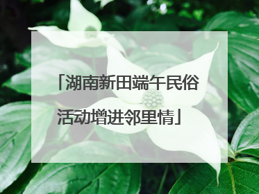 湖南新田端午民俗活动增进邻里情