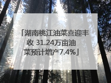 湖南桃江油菜喜迎丰收 31.24万亩油菜预计增产7.4%