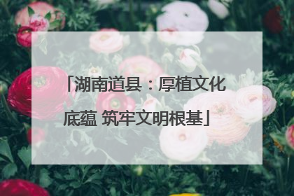 湖南道县：厚植文化底蕴 筑牢文明根基