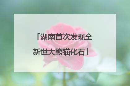 湖南首次发现全新世大熊猫化石