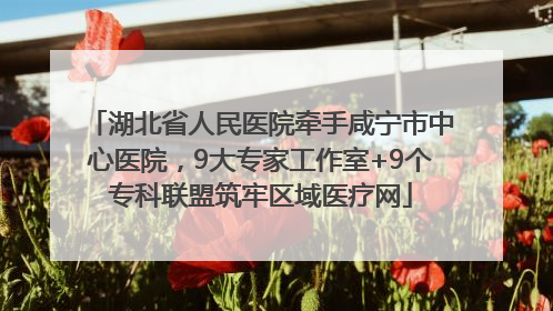 湖北省人民医院牵手咸宁市中心医院，9大专家工作室+9个专科联盟筑牢区域医疗网