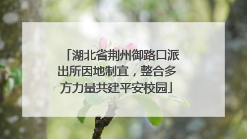 湖北省荆州御路口派出所因地制宜，整合多方力量共建平安校园