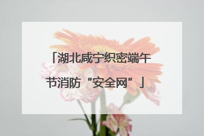 湖北咸宁织密端午节消防“安全网”