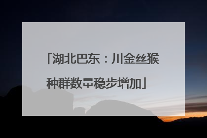 湖北巴东：川金丝猴种群数量稳步增加