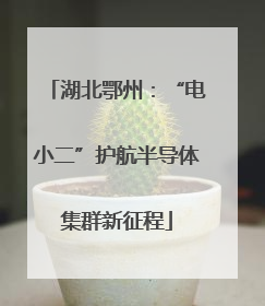 湖北鄂州：“电小二”护航半导体集群新征程