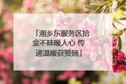 湘乡东服务区拾金不昧暖人心 传递温暖获赞扬