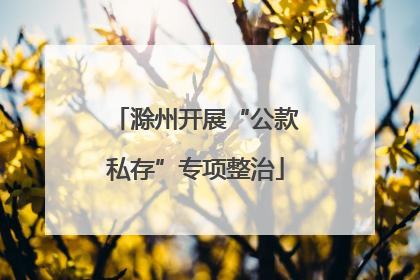 滁州开展“公款私存”专项整治