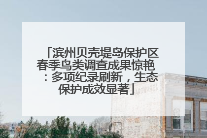 滨州贝壳堤岛保护区春季鸟类调查成果惊艳：多项纪录刷新，生态保护成效显著