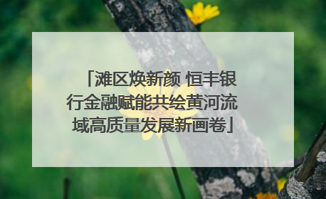 滩区焕新颜 恒丰银行金融赋能共绘黄河流域高质量发展新画卷