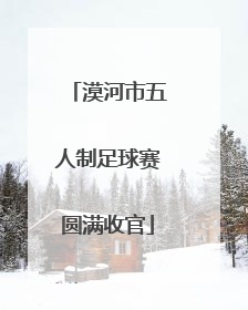 漠河市五人制足球赛圆满收官
