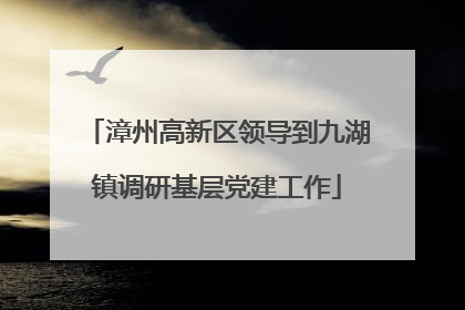 漳州高新区领导到九湖镇调研基层党建工作