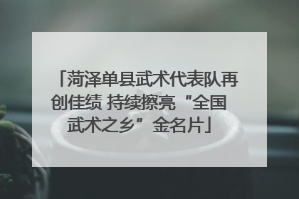 菏泽单县武术代表队再创佳绩 持续擦亮“全国武术之乡”金名片