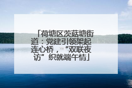 荷塘区茨菇塘街道：党建引领架起连心桥，“双联夜访”织就端午情