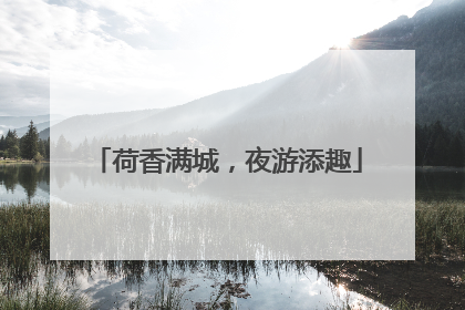 荷香满城，夜游添趣