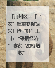 荆州区：「“农”墨重彩促振兴」抢“鲜”上市 “采摘经济”助农“甜蜜增收”