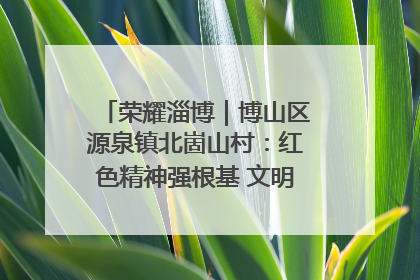 荣耀淄博｜博山区源泉镇北崮山村：红色精神强根基 文明新风润山乡