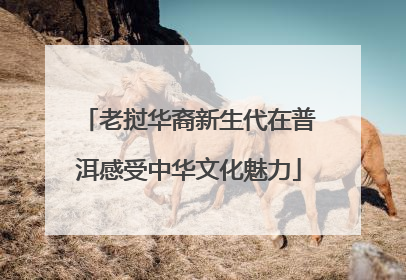 老挝华裔新生代在普洱感受中华文化魅力