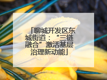 聊城开发区东城街道：“三链融合”激活基层治理新动能