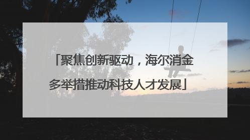 聚焦创新驱动，海尔消金多举措推动科技人才发展