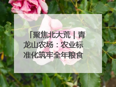 聚焦北大荒｜青龙山农场：农业标准化筑牢全年粮食安全根基