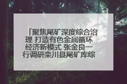 聚焦尾矿深度综合治理 打造有色金属循环经济新模式 张金良一行调研栾川县尾矿库综合治理工作