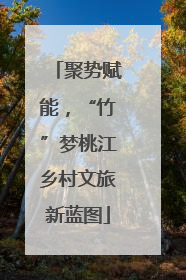 聚势赋能，“竹”梦桃江乡村文旅新蓝图