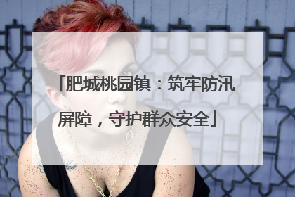 肥城桃园镇：筑牢防汛屏障，守护群众安全