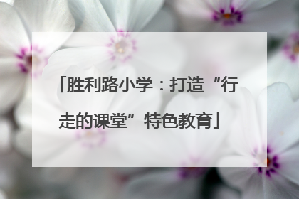 胜利路小学：打造“行走的课堂”特色教育