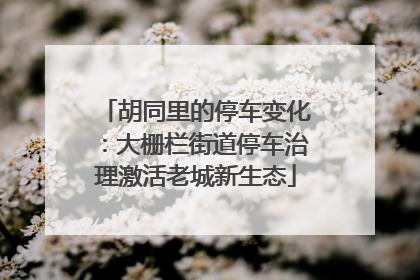 胡同里的停车变化：大栅栏街道停车治理激活老城新生态