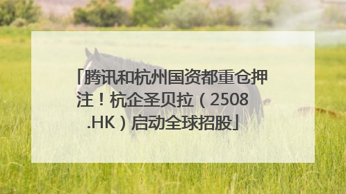 腾讯和杭州国资都重仓押注！杭企圣贝拉（2508.HK）启动全球招股