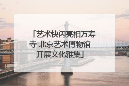 艺术快闪亮相万寿寺 北京艺术博物馆开展文化雅集