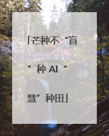 芒种不“盲”种 AI“慧”种田