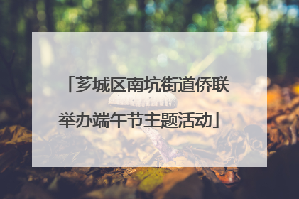 芗城区南坑街道侨联举办端午节主题活动