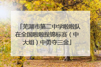 芜湖市第二中学啦啦队在全国啦啦操锦标赛（中大组）中勇夺三金
