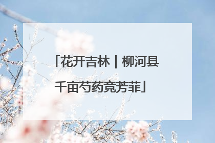 花开吉林｜柳河县千亩芍药竞芳菲