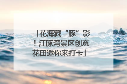花海藏“豚”影！江豚湾景区创意花田邀你来打卡