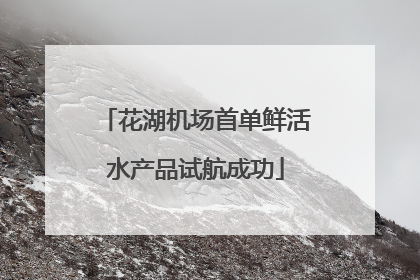 花湖机场首单鲜活水产品试航成功