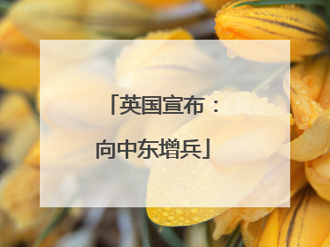 英国宣布：向中东增兵