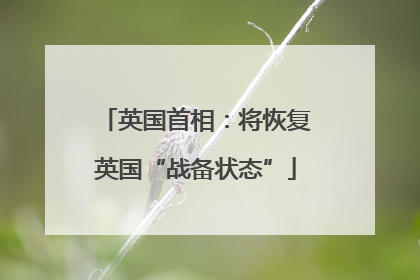 英国首相：将恢复英国“战备状态”