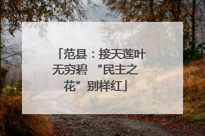 范县：接天莲叶无穷碧 “民主之花”别样红