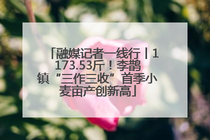 融媒记者一线行丨1173.53斤！李鹊镇“三作三收”首季小麦亩产创新高