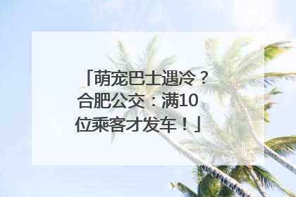 萌宠巴士遇冷？合肥公交：满10位乘客才发车！