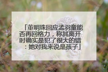 董明珠回应孟羽童能否再回格力，称其离开时确实是犯了很大的错：她对我来说是孩子