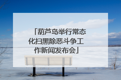 葫芦岛举行常态化扫黑除恶斗争工作新闻发布会
