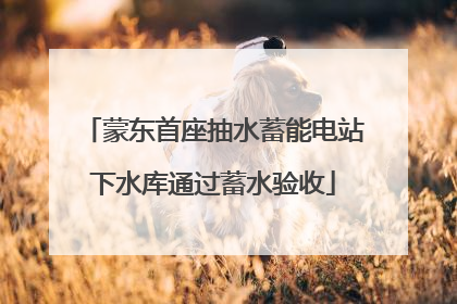 蒙东首座抽水蓄能电站下水库通过蓄水验收