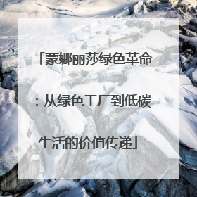 蒙娜丽莎绿色革命：从绿色工厂到低碳生活的价值传递