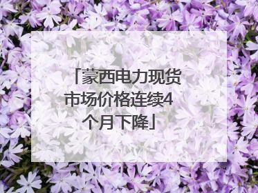 蒙西电力现货市场价格连续4个月下降